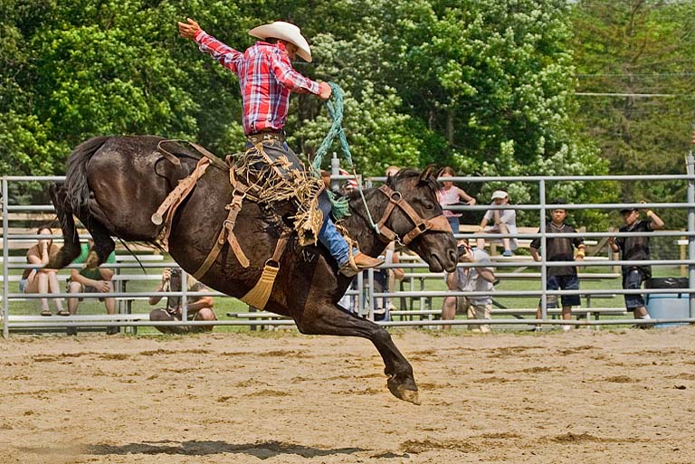 Bronco Busting 1